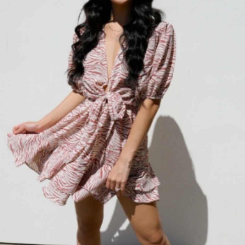 Women’s Frill Boho Exotic Zebra Print Mini Dress